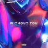 Shawn Tavakol - Without You - Single